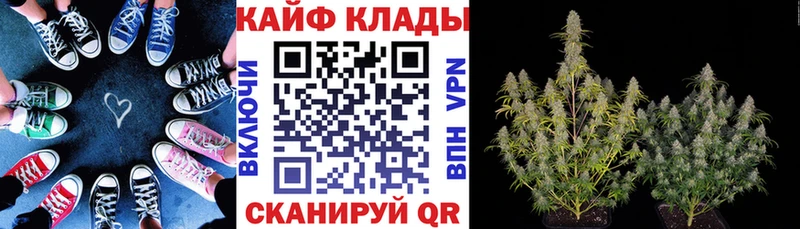 Виды наркотиков купить Знаменск Кокаин Codein Бошки Шишки МЕФ Alpha-PVP АМФ